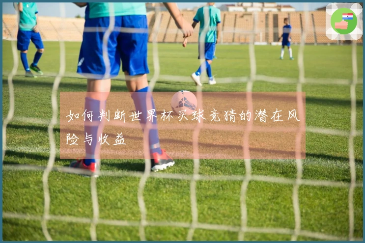 如何判断世界杯买球竞猜的潜在风险与收益