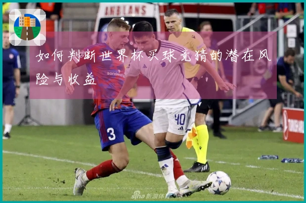 如何判断世界杯买球竞猜的潜在风险与收益