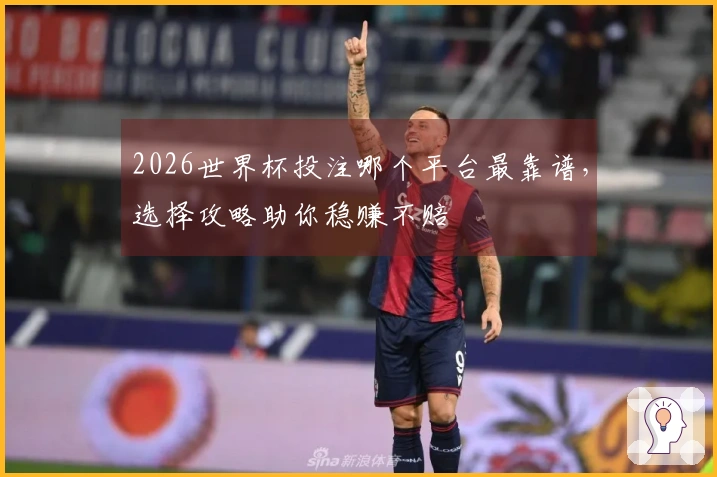 2026世界杯投注哪个平台最靠谱，选择攻略助你稳赚不赔