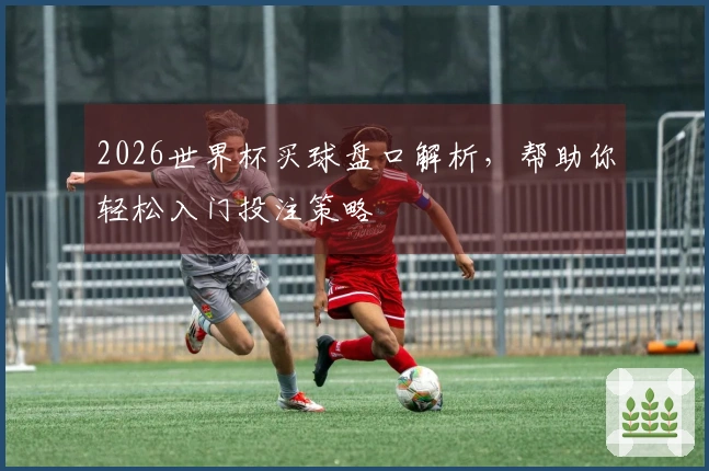 2026世界杯买球盘口解析，帮助你轻松入门投注策略