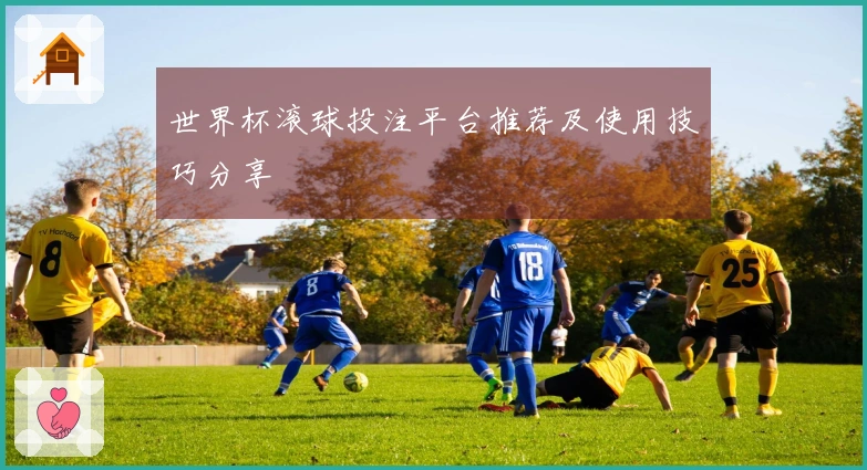 世界杯滚球投注平台推荐及使用技巧分享