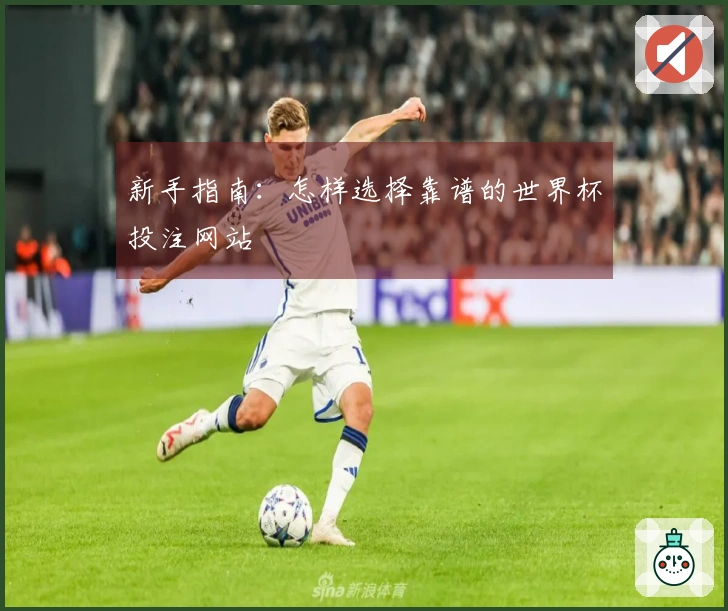新手指南：怎样选择靠谱的世界杯投注网站