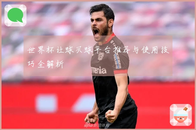 世界杯让球买球平台推荐与使用技巧全解析