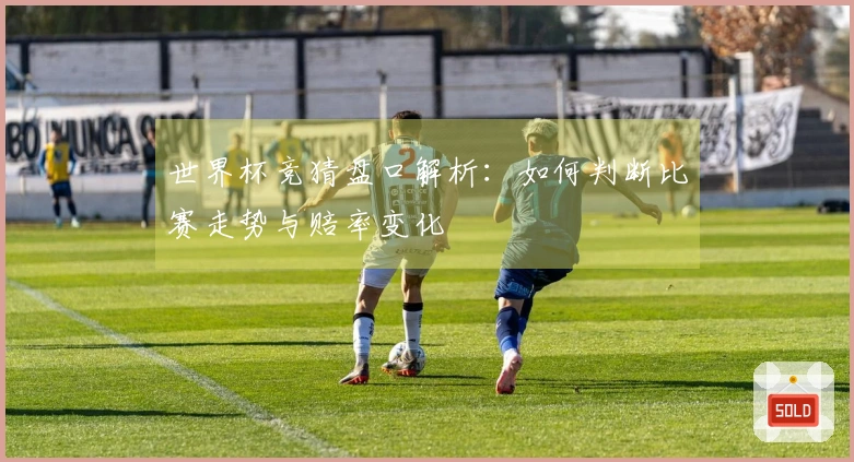 世界杯竞猜盘口解析：如何判断比赛走势与赔率变化