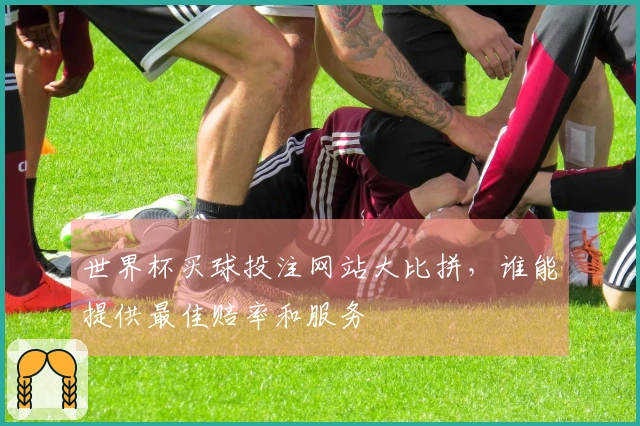 世界杯买球投注网站大比拼，谁能提供最佳赔率和服务