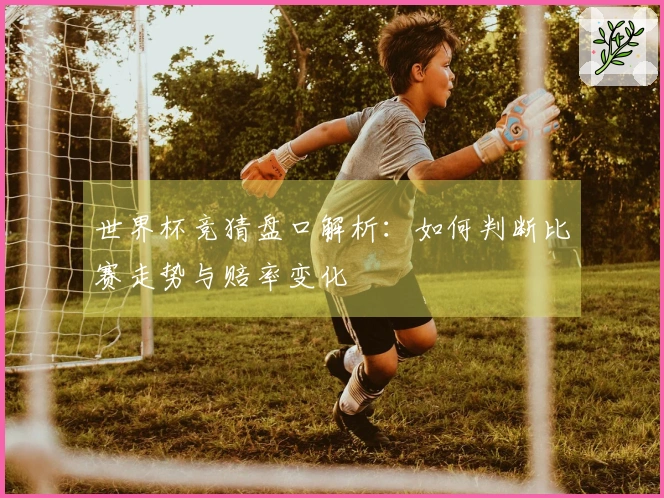 世界杯竞猜盘口解析：如何判断比赛走势与赔率变化