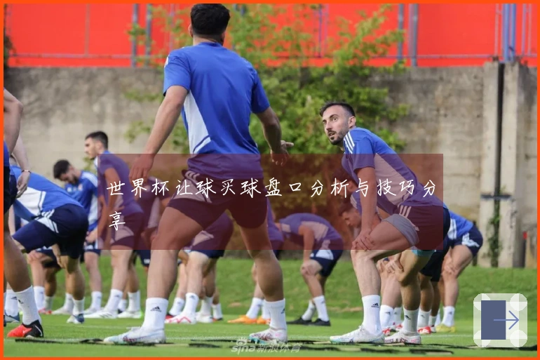 世界杯让球买球盘口分析与技巧分享